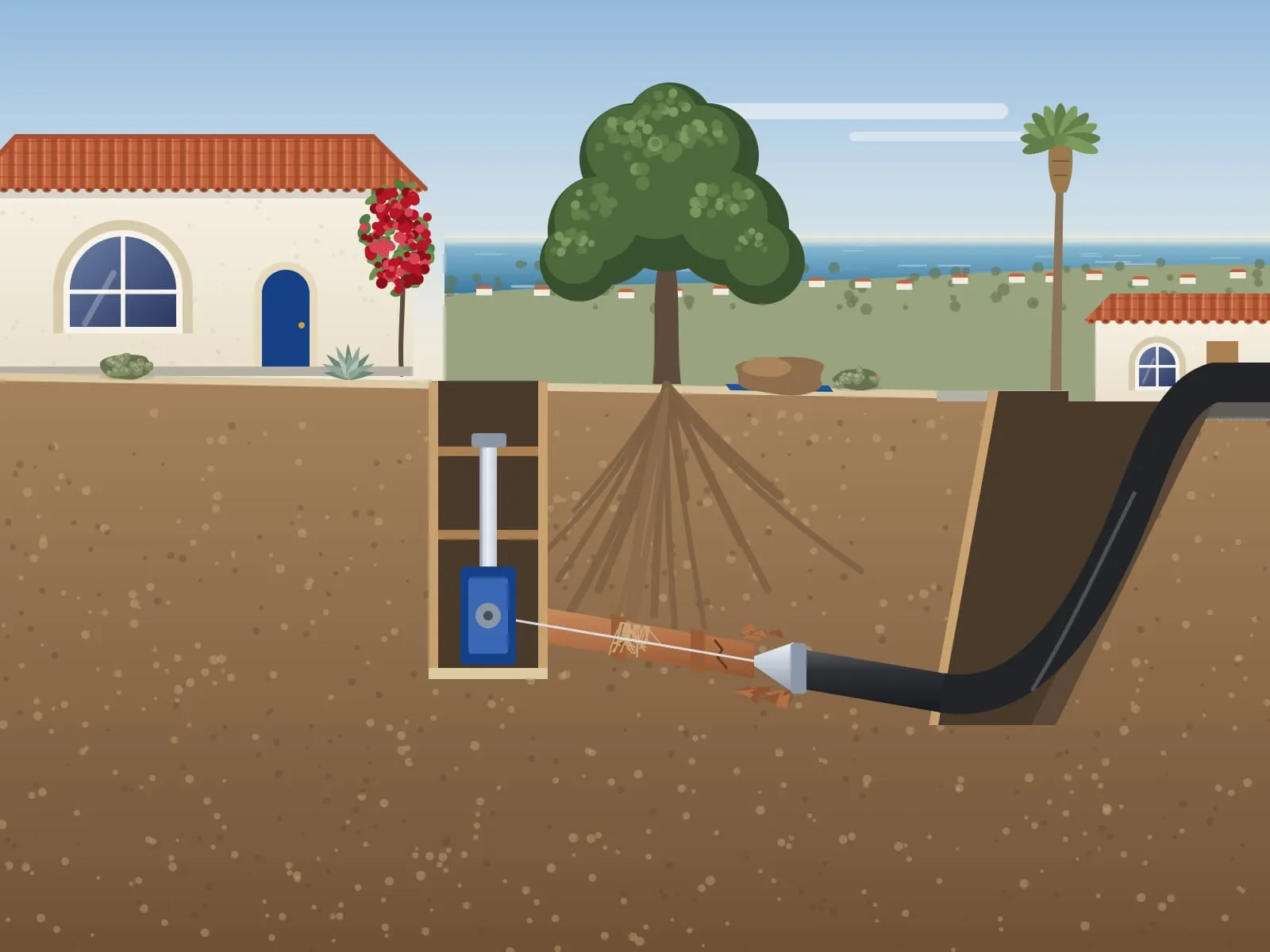 Illustration of a front yard cut away, a bursting head pulling a new black sewer pipe through an old clay pipe with roots in it